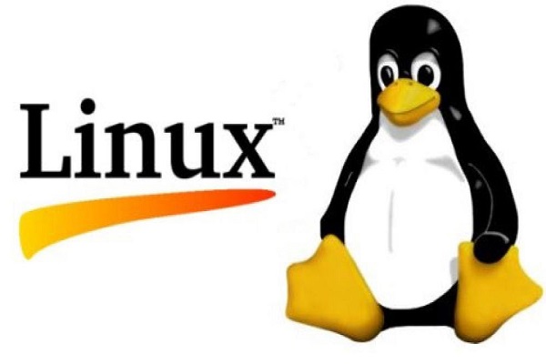 định nghĩa hệ điều hành linux là gì