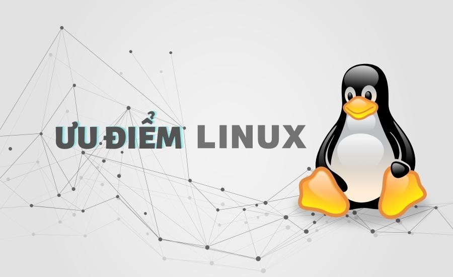 ưu điểm của linux server