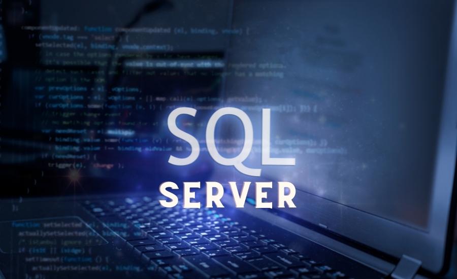 phân loại sql server