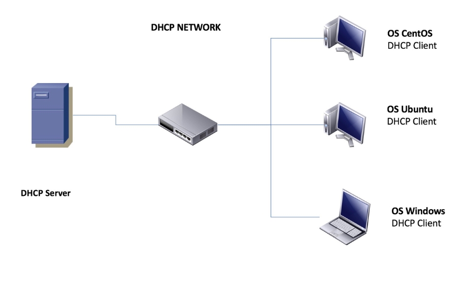 định nghĩa DHCP Server là gì