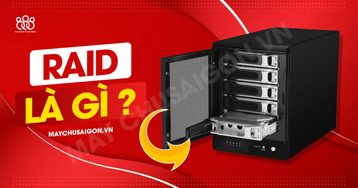 raid là gì