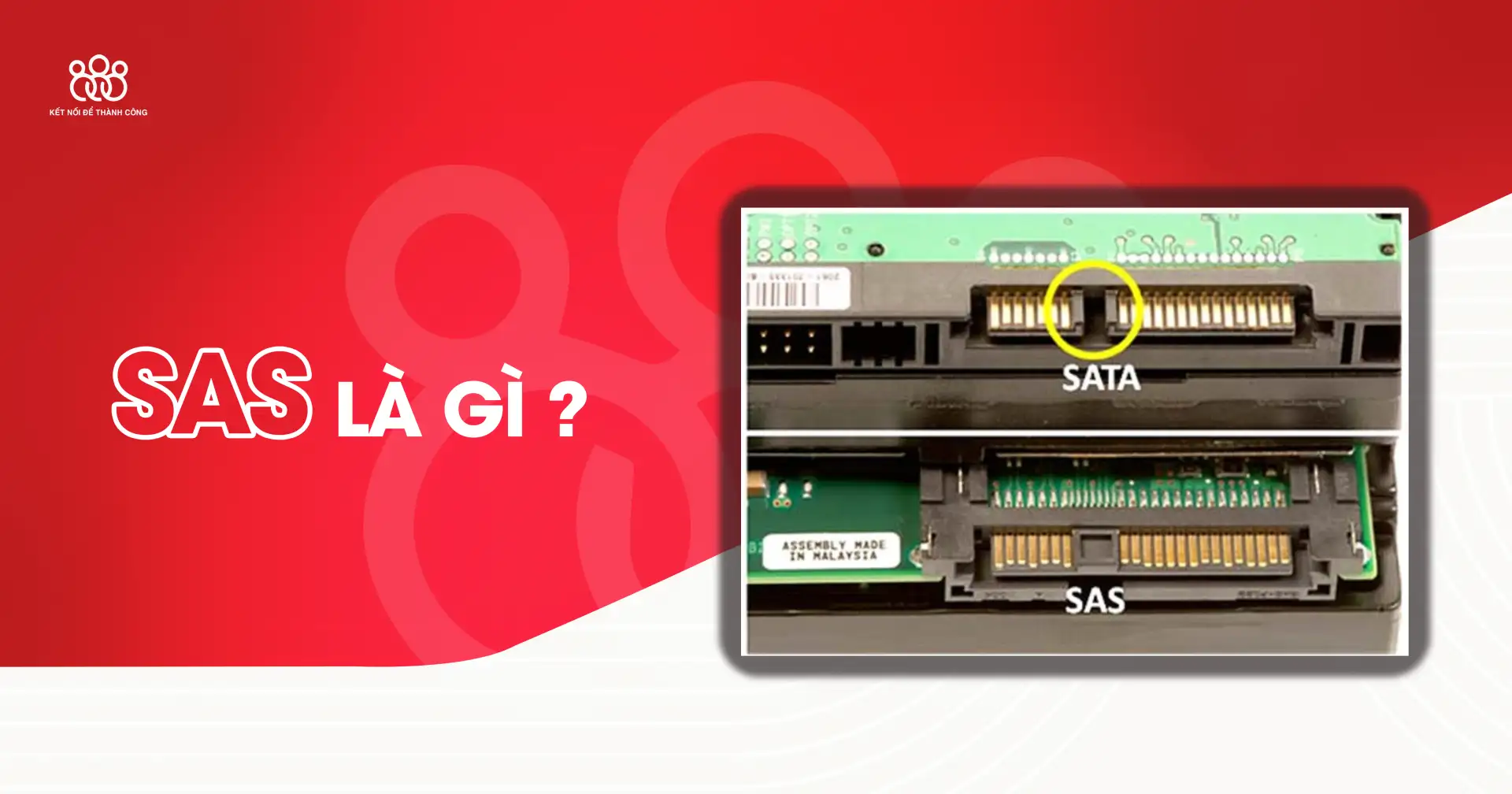 serial attached scsi sas là gì