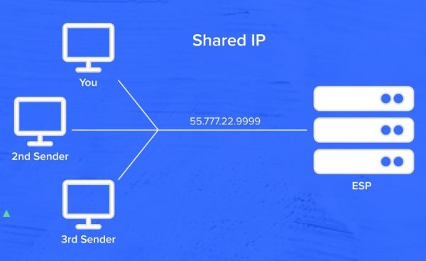 Shared IP Là Gì? Shared IP Khác Gì So Với Dedicated IP?