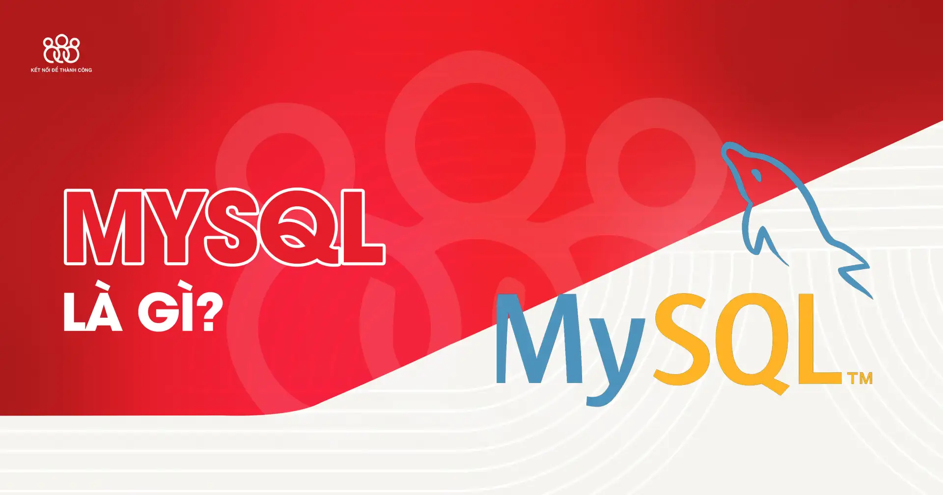 mysql là gì