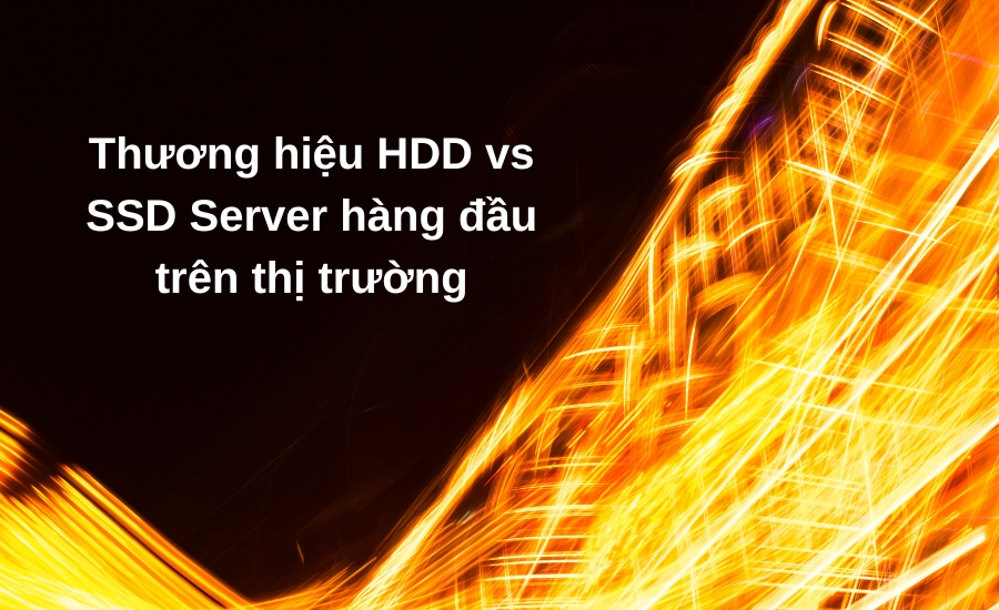 thương hiệu HDD vs SDD Server hàng đầu trên trị trường