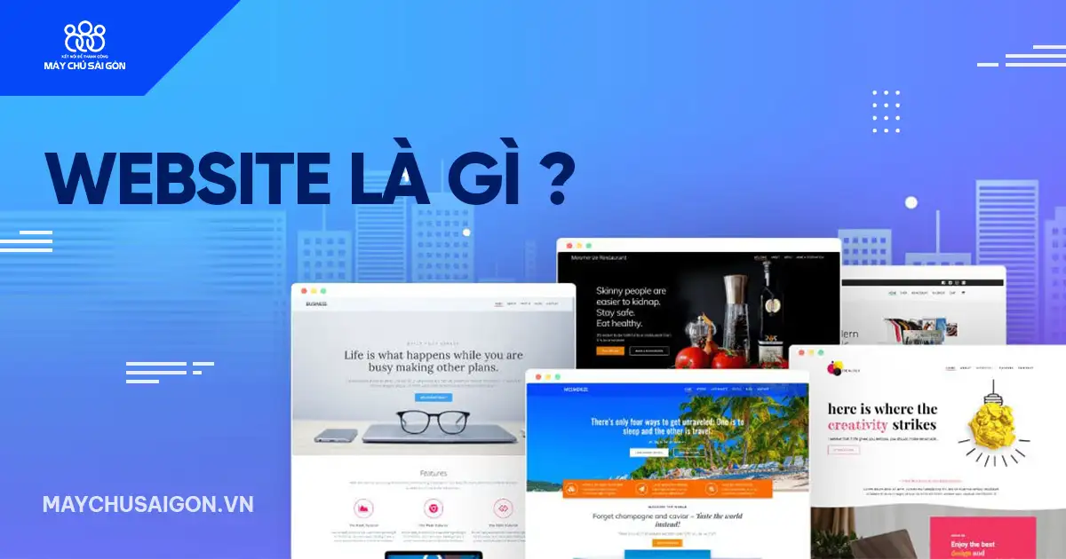 website là gì