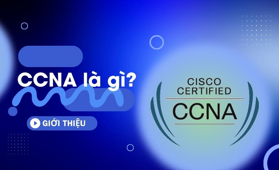 định nghĩa CCNA là gì