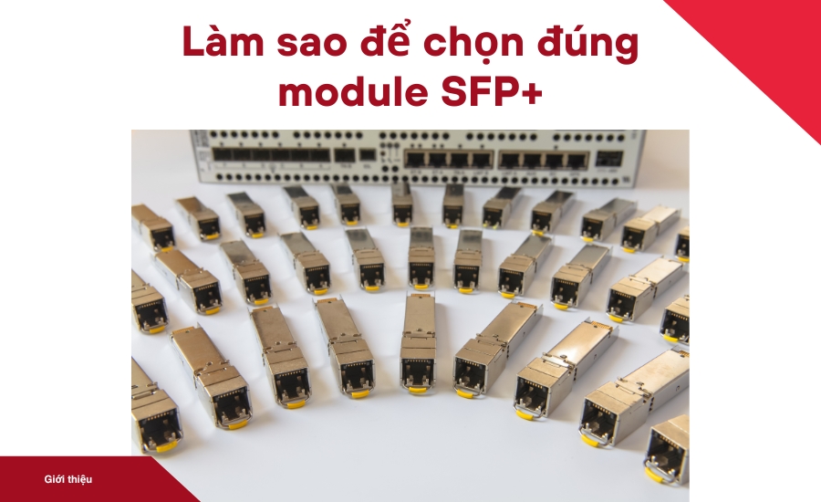 Làm sao để chọn đúng module SFP+