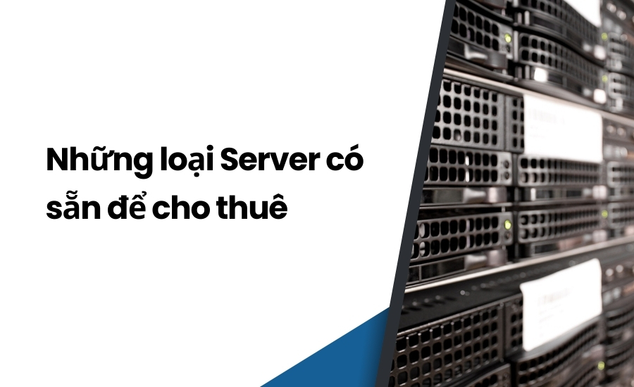 Những loại Server có sẵn để cho thuê