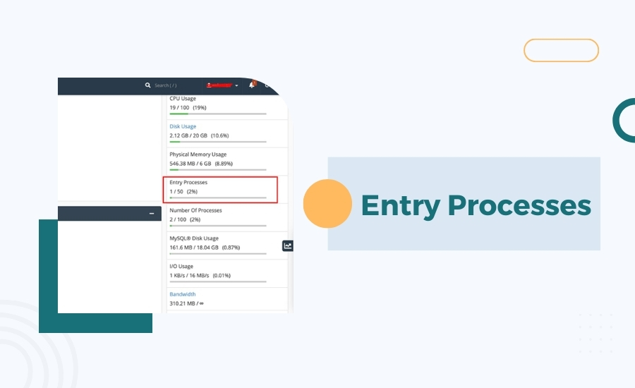 Entry Processes