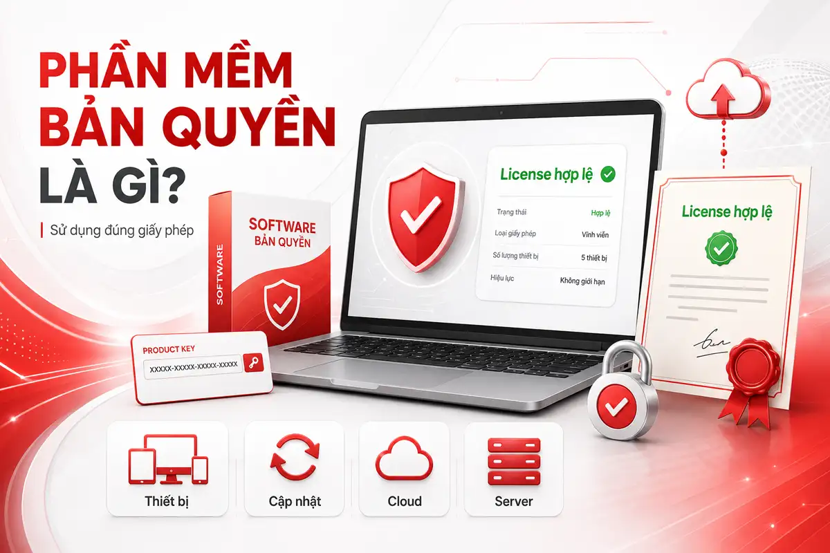 software license phần mềm bản quyền là gì