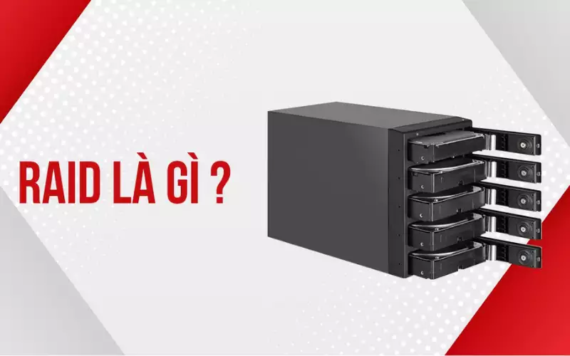 raid là gì - mcsg