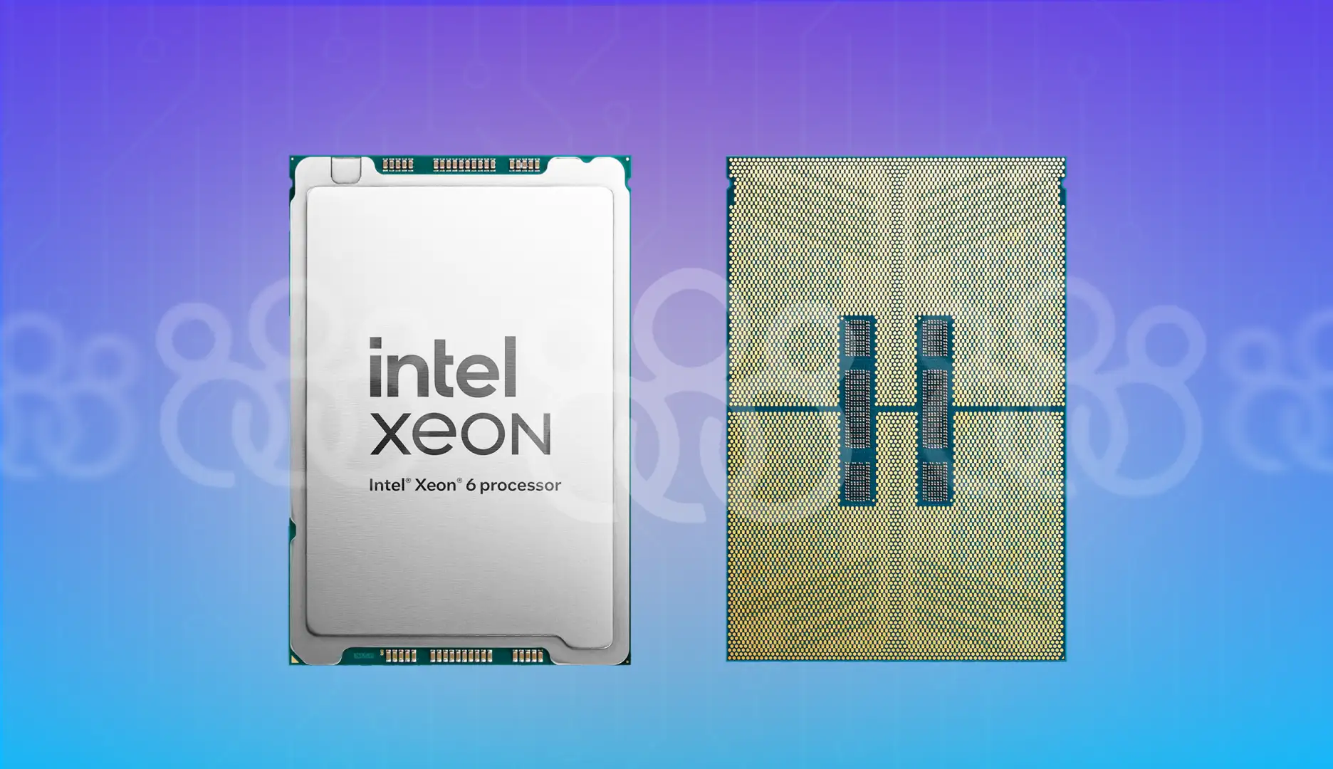 cpu intel xeon 6 processor